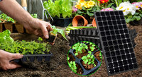 Plateaux de semis pour serres, semoirs agricoles pour tomates, plateaux de germination en plastique pour pépinières, plateaux de démarrage de semis