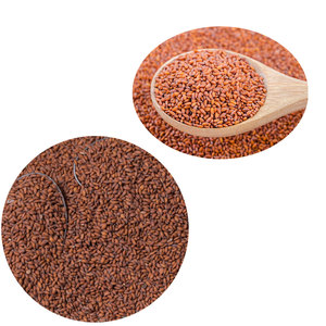 Berro | Crece con cuidado sencillo | Perfecto para principiantes - Product Image 6