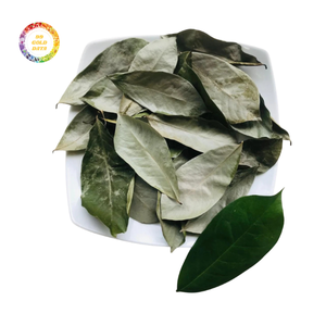 Feuilles de corossol séchées en vrac Origine Vietnam Qualité stable Faible coût - Product Image 1