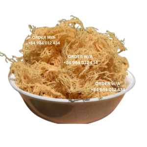 มอสทะเลป่า/มอสทะเลไอริชปราศจากคาเฟอีน, มังสวิรัติ, อุดมไปด้วยแร่, มอสทะเลสีทอง - Product Image 4