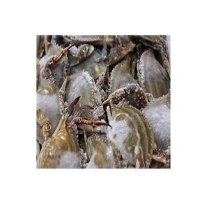 Crabe de mer frais et congelé au meilleur prix - Product Image 6