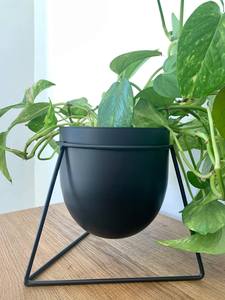 Macetas de hierro de estilo antiguo con soporte para decoración de granja o jardín rústico disponibles a precio mayorista - Product Image 4