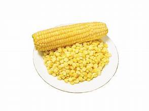 MAÏS SUCRÉ EN CONSERVE NATUREL NOYAU ENTIER SANS OGM ÉTIQUETTE PROPRE SUPPORT IMMUNITAIRE AMIS VÉGAN - Product Image 4