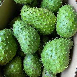 Soursop frais du Vietnam de qualité supérieure pour l'exportation et la vente en gros - Product Image 4