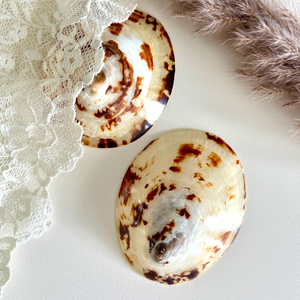 COQUILLES DE LIMPETTE D'ALLAITEMENT NATUREL DE MAMAN DE CONFORT POUR LES FEMMES ENCEINTES MEILLEUR VENDEUR - Product Image 3