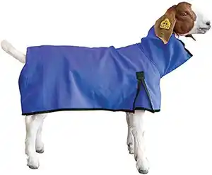 Das meist verkaufte Produkt Ziegen-und Schaf-Winter decken ist in allen verschiedenen Farben vom indischen Exporteur und Hersteller erhältlich