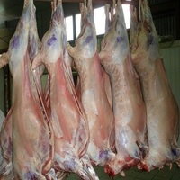 Viande de chèvre / agneau / mouton entière halal fraîche / congelée / carcasse ou en vente