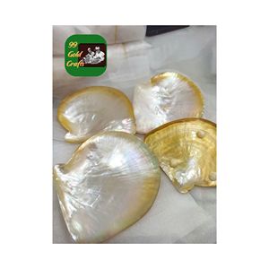 Assiette en nacre de luxe fabriquée à la main pour le service de caviar et la décoration côtière du Vietnam Technique polie - Product Image 2