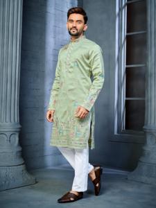 Broderie à plusieurs fils Motif de cerf Daaman Concept Kurta pour les fêtes de famille et les occasions spéciales - Product Image 6