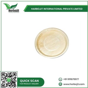 100% respetuoso con el medio ambiente 10 pulgadas Areca hoja de palma Plato cuadrado compostable Platos y platos de cena mayorista - Product Image 3