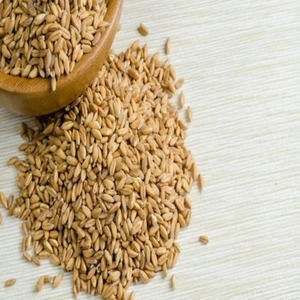 Semillas de Cebada Naturales de Primera Calidad Secadas a Baja Temperatura para la Elaboración de Cerveza y Procesamiento de Alimentos - Product Image 4