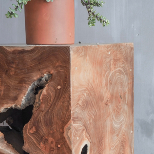 Unique Natural Wood Stump <b>Side</b> <b>Table</b> <b>Rustic</b> Accent Solid Wooden from indonesia - Product Image 4