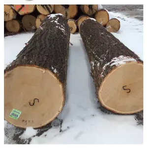 Holzstämme Teakholz/Eichenholz stämme/Kiefernholz stämme