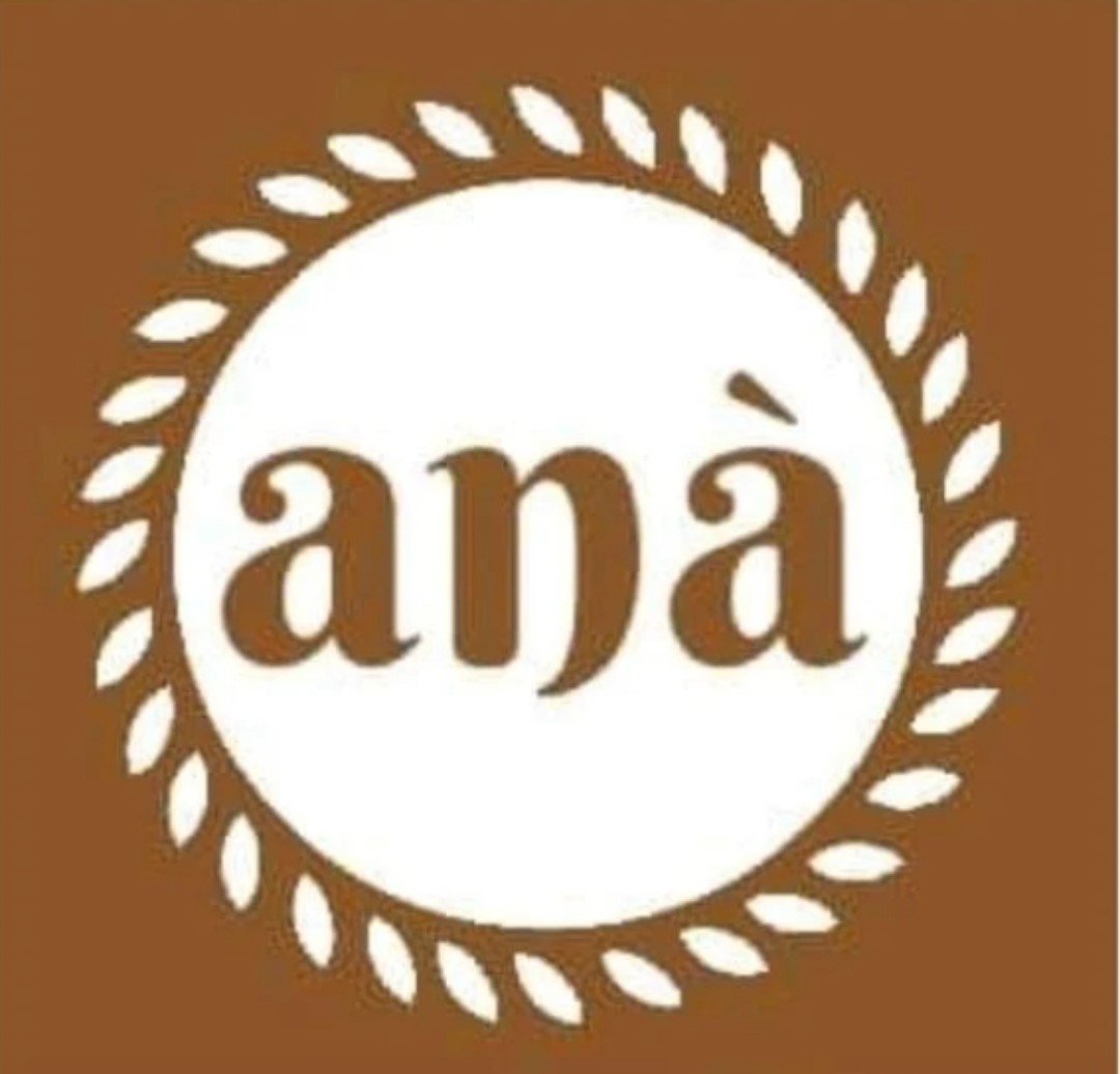 ANA SRL U logo