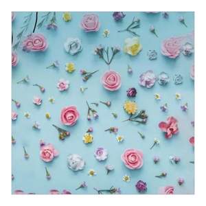 Tela Creep de algodón liso personalizada Anti-Technics de alta calidad, teñida de hilo alto para uso de ropa al por mayor, para vestidos y trajes - Product Image 4