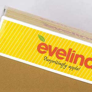 Indian Manufacture Printed Corrugated Apple <b>Shipping</b> <b>Box</b> for Fresh Fruit Storage Available for Wholesale Supply - Product Image 4