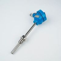 Sensor Termokopel PT1000 PT100 Presisi Tinggi, Termowell Baja Tahan Karat Tahan Lama, Probe 300mm, OEM/ODM, Berperingkat IP67, Garansi 1 Tahun