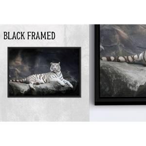 Art mural animalier minimaliste : toile imprimée d'un majestueux tigre blanc, 1P Blackframedcanvas - Product Image 1