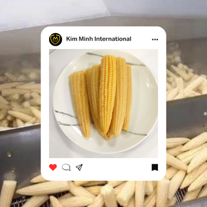 Vente en gros Marque privée Maïs en conserve en saumure sel conservé et emballé sous vide avec traitement de pelage - Product Image 5