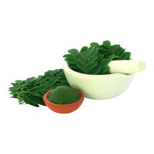 Polvo de hoja de Moringa natural para té adelgazante - Product Image 3