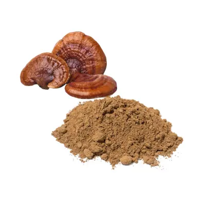 Sfuso 100% puro fungo Reishi naturale Ganoderma Lucidum polvere UK Private Label / OEM disponibile.