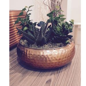 Pot en métal noir élégant fait à la main pour les arbres d'intérieur Style de conception côtière - Product Image 6