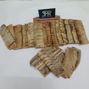 Écailles de corne de mouton de ram naturelles de qualité supérieure, écologiques, pour la fabrication de manches de couteaux, matériau brut durable fait à la main, personnalisable - Product Image 1