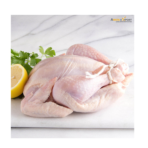 Pieds de poulet congelés en gros de haute qualité à bas prix/1/6 Poulet entier congelé de meilleure qualité à vendre - Product Image 6