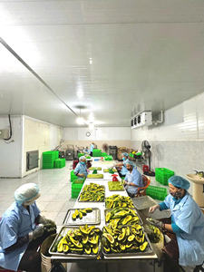 VIETNAM AGUACATE CONGELADO MEDIAS PROVEEDOR DE EXPORTACIÓN IQF PARA EL MERCADO GLOBAL UTILIZADO EN PROPORCIONAMIENTOS Y RELLENOS DE Batidos - Product Image 5