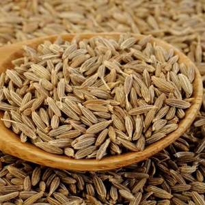 Semillas de comino de alta calidad, Jeera entera Natural de origen indio para cocinar especias, condimentos, Exportación de suministros a granel para la industria alimentaria - Product Image 1