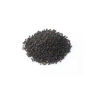 Vente en gros de colza à un prix abordable, idéal pour l'agriculture et le traitement de l'huile - Product Image 4