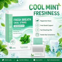 Strip Penyegar Mulut Rasa Mint Dingin Bebas Gula, Cepat Larut, Penyegar Mulut Instan, OEM Label Pribadi