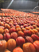 Vietnamese gedroogde zoete persimmon, gemaakt van vers rijp fruit, voor zachte snacks, groothandel, detailhandel en foodservice.