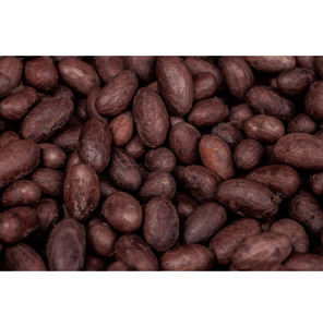 Granos de cacao secos a granel de alta calidad Proveedor directo Exportación a mercados globales Mejor precio - Product Image 6