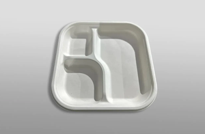 Meilleures assiettes en bagasse biodégradables personnalisables pour les hôtels, les mariages et les banquets - Product Image 2