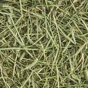 Alimento para animales Alfalfa/Timoteo/Alfalfa Heno en venta - Product Image 1