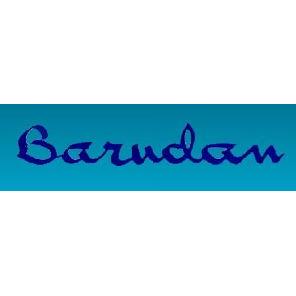 Barudan Stickmaschinen GmbH logo