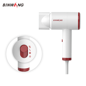 Sèche-<span class=keywords><strong>cheveux</strong></span> Binwang personnalisé OEM ODM 1250W avec moteur DC, fourni directement par l'usine, sèche-<span class=keywords><strong>cheveux</strong></span> compact avec buse pour salon - Product Image 2