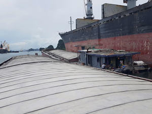 Clinker OPC a Granel Directamente de Fábrica, Precio de Mayoreo, Envío en Buque para Cemento Portland Ordinario - Product Image 3