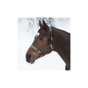 Nuovo Design personalizzato cavallo equestre in vera pelle Halter Horze Diamond Leather Halter non perenne