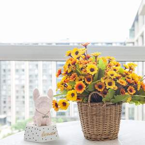 סיליקון עובש כלב כלב בולדוג צרפתי יושב שולחן הבית עציץ diy - Product Image 1