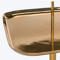 Tables d'appoint modernes de luxe en acier inoxydable, design durable, faciles à nettoyer, taille personnalisée disponible, finition thermolaquée, table basse