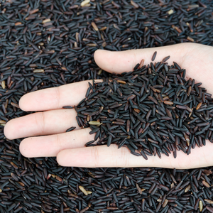RIZ AROMATIQUE BLANC À GRAINS LONGS DUR ET SÉCHÉ Du VIETNAM (Mme Ellen) - Product Image 6