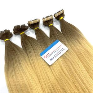 Extensions de cheveux à bandes adhésives 100% vietnamiennes, couleur ombrée, texture naturelle et lisse, invisibles, prix de gros jusqu'à 30$ - Product Image 1