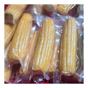 Maíz congelado dulce Premium cuidadosamente seleccionado y congelado para mantener el sabor fresco, ingrediente perfecto para Cocinar en casa, restaurantes - Product Image 5