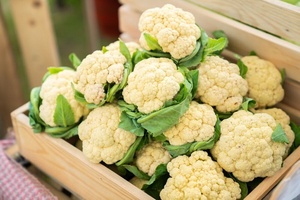 Natural/grado Premium/brócoli blanco IQF - Product Image 3