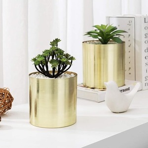 Maceta Moderna y Sencilla de Color Dorado Mate para Plantas de Interior, Decoración Elegante para el Hogar y Diseño Minimalista, Venta al por Mayor desde India - Product Image 2