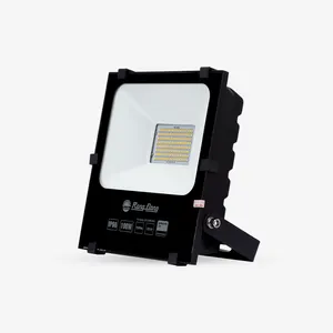 高品质发光二极管泛光灯CP06 100W CE KC认证，性能卓越设计服务越南制造
