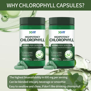 Extrait de culotte de capsule de chlorophylle OEM 600mg énergie cellulaire et soutien antioxydant booster du système immunitaire échantillon gratuit - Product Image 3