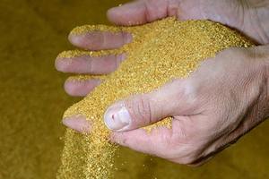 <b>Rice</b> DDGS Export Quality <b>Rice</b> DDGS available in Bulk Quantity from India - Product Image 4